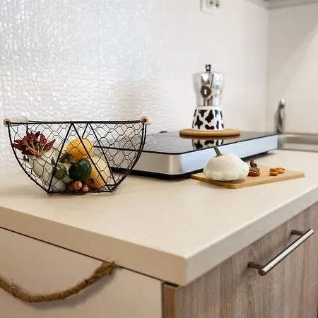 Paradiso Istriano With Jacuzzi Apartament