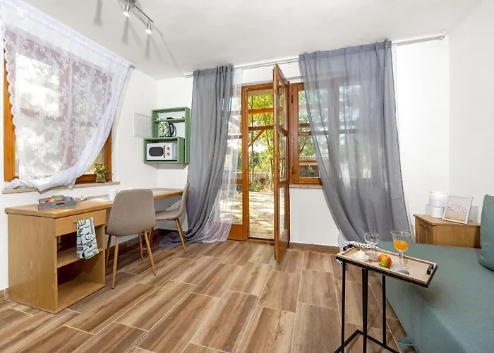Paradiso Istriano With Jacuzzi Apartment