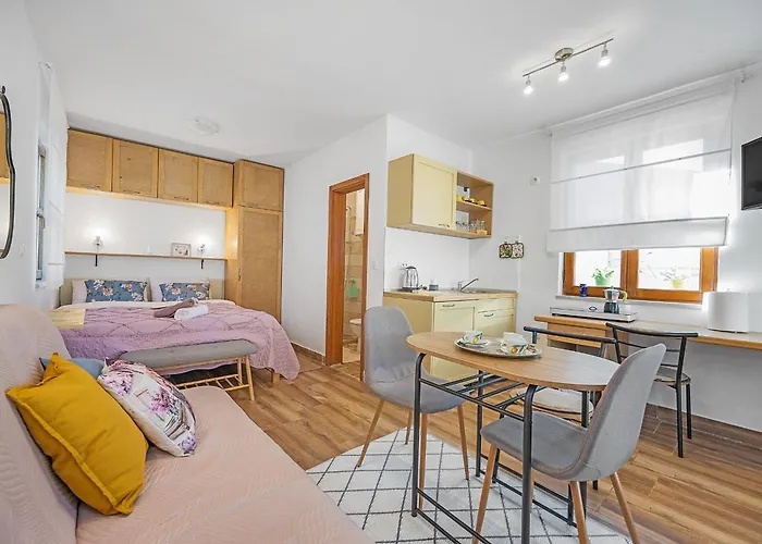 Paradiso Istriano With Jacuzzi Apartment *